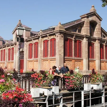 Historic Center - Studio Apollon - Bookingalsace Apartman *